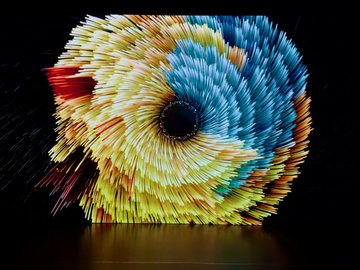 Circadian Rhythms screen view