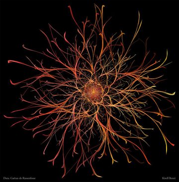 The Roots Of Innovation